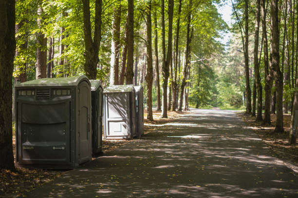 Best Porta potty delivery and setup  in Lone Tree, IA